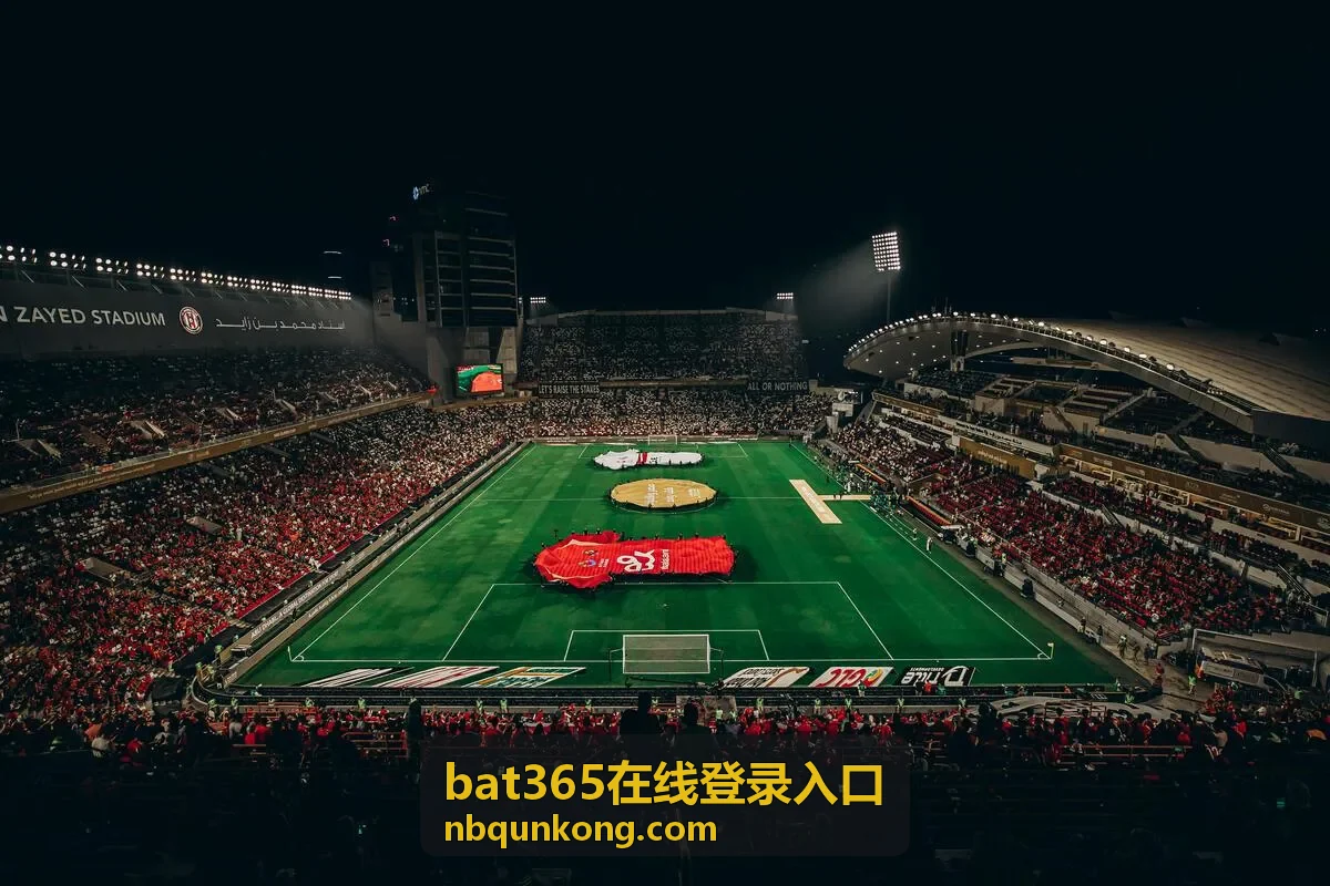 bat365在线登录入口登录记录检查方法配图